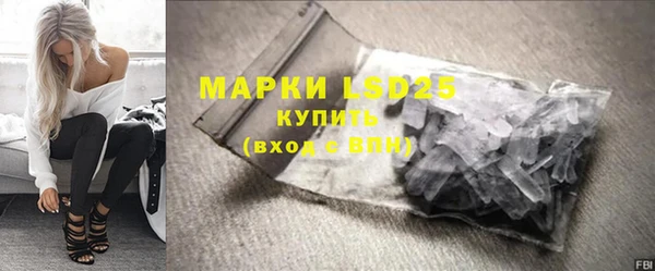 ГАЛЛЮЦИНОГЕННЫЕ ГРИБЫ Вязники