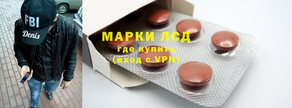 ГАЛЛЮЦИНОГЕННЫЕ ГРИБЫ Вязники