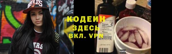 mdpv Вяземский