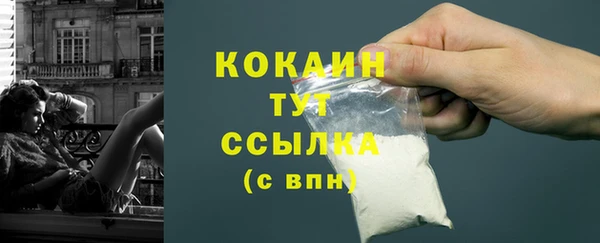mdpv Вяземский