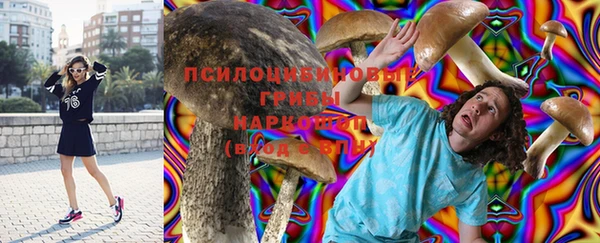 ГАЛЛЮЦИНОГЕННЫЕ ГРИБЫ Вязники