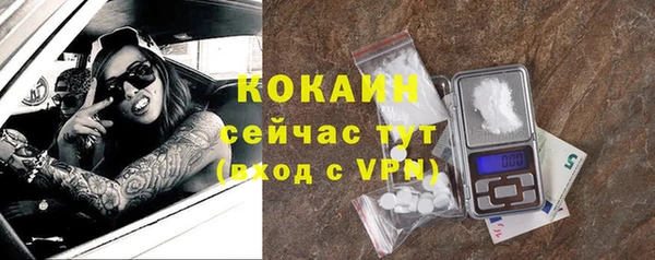 ГАЛЛЮЦИНОГЕННЫЕ ГРИБЫ Вязники