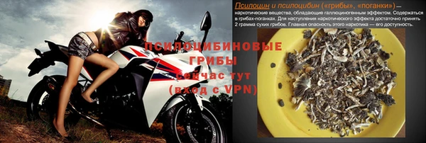 ГАЛЛЮЦИНОГЕННЫЕ ГРИБЫ Вязники