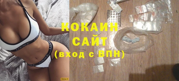 mdpv Вяземский