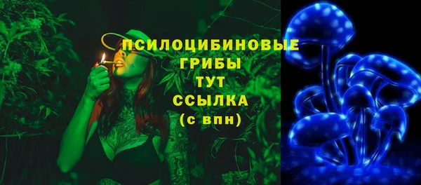 ГАЛЛЮЦИНОГЕННЫЕ ГРИБЫ Вязники