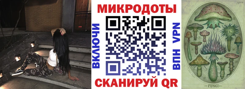 Галлюциногенные грибы Psilocybe  Муром 