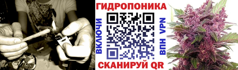 Бошки Шишки гибрид Муром